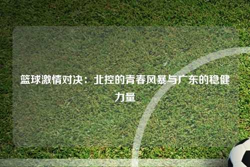 篮球激情对决：北控的青春风暴与广东的稳健力量