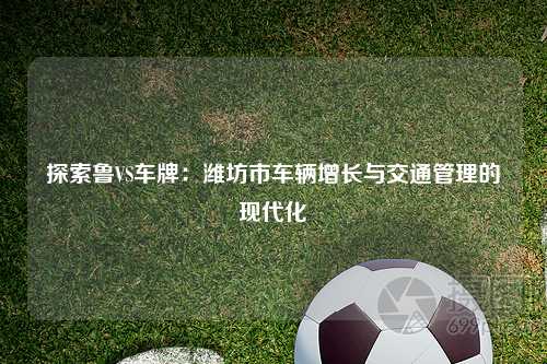 探索鲁VS车牌：潍坊市车辆增长与交通管理的现代化